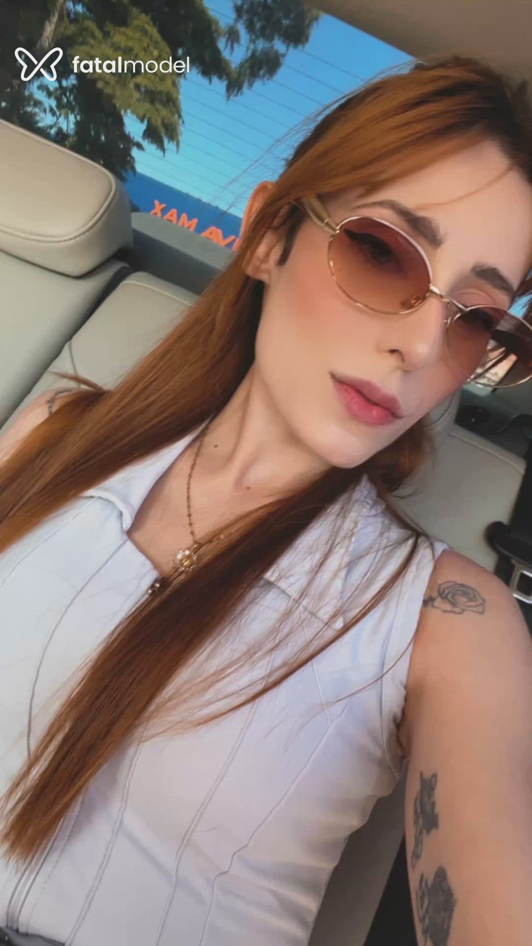Mídia