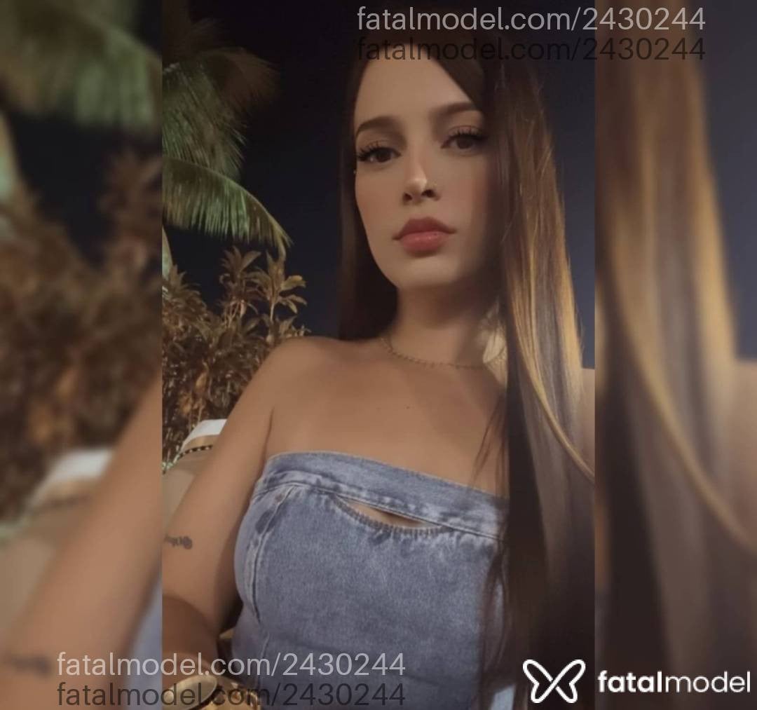 Mídia