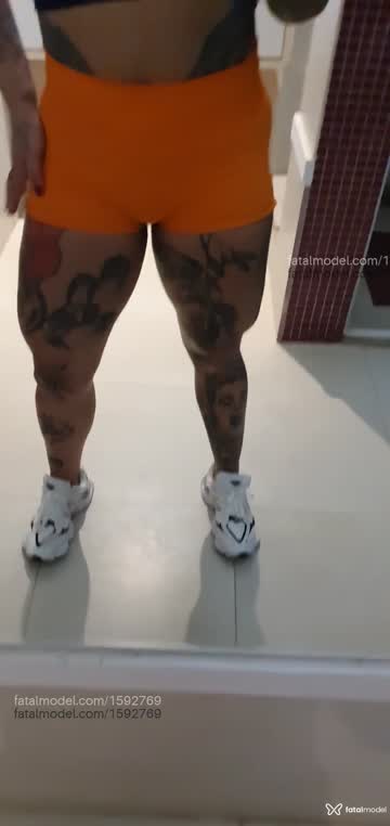 Mídia