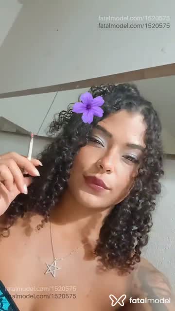 Mídia
