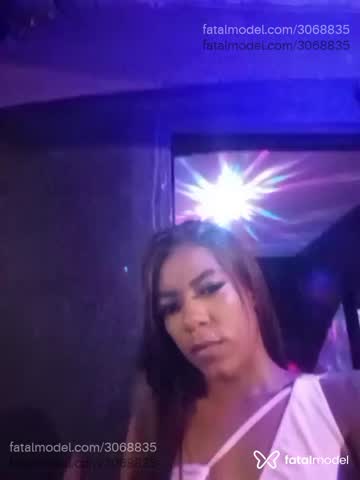 Mídia