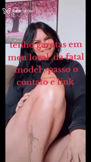 Mídia