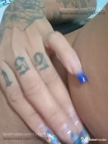 Mídia